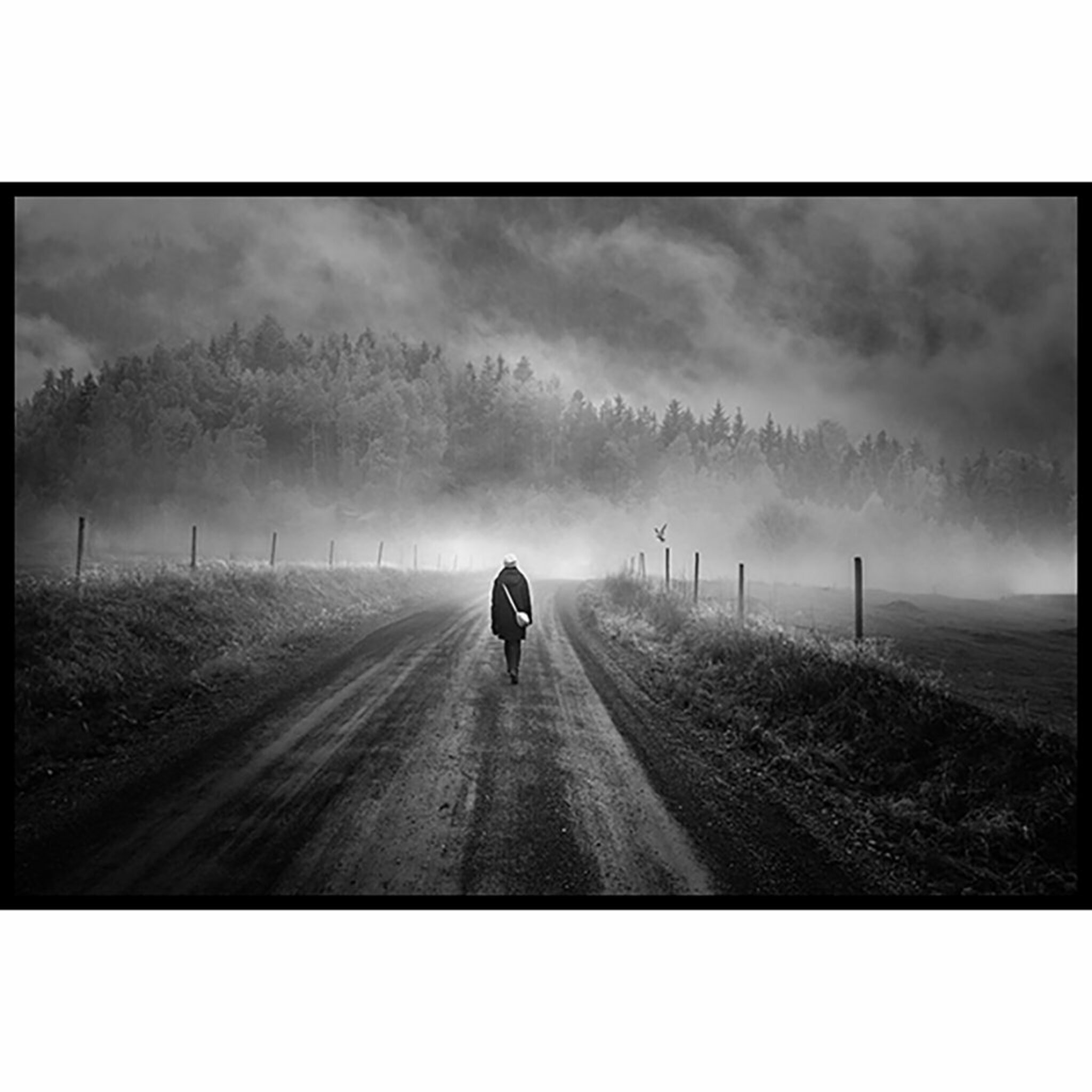 Dark Misty Walk Poster