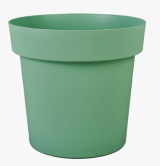 Vida utekruka ljusgrön