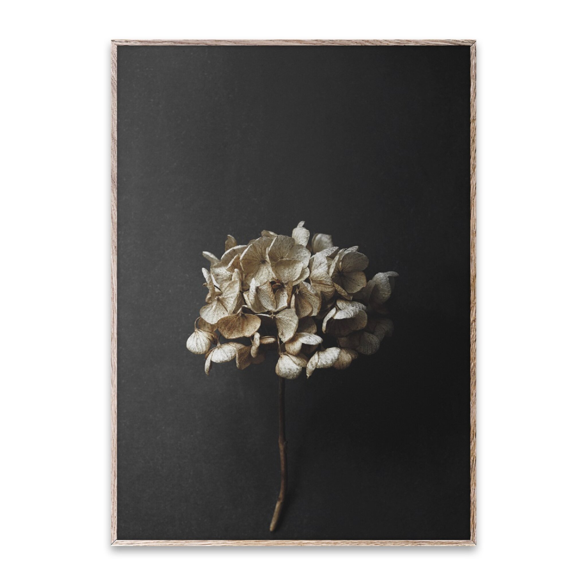 Poster Still Life 04