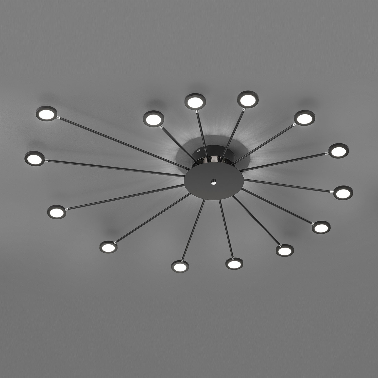 LED-taklampa Peacock, 15 lampor, svart