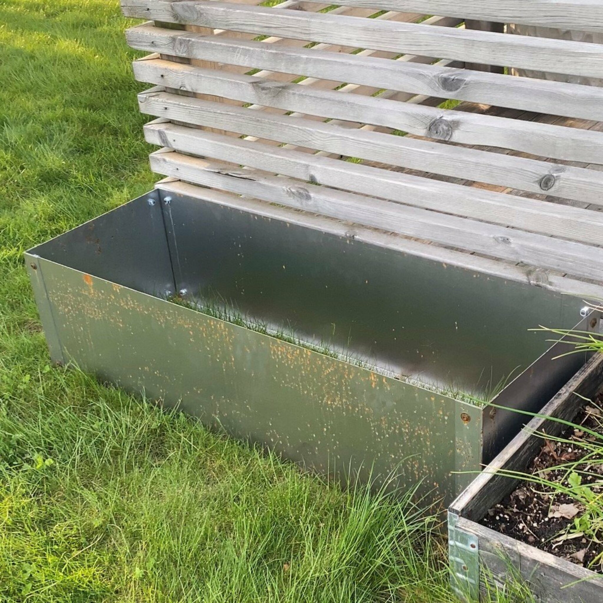 Pallkrage Rost 1mm