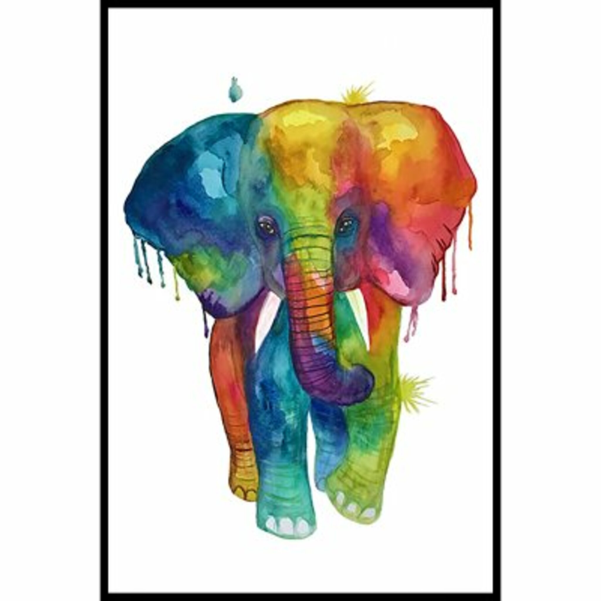 Elephant Rainbow Poster