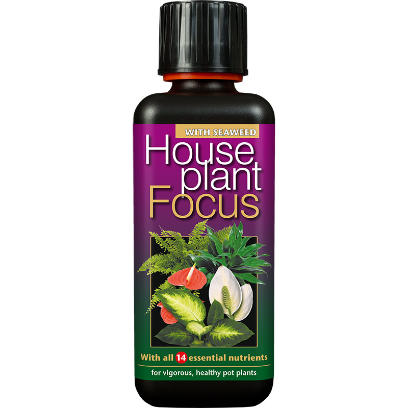 Krukväxtnäring, Houseplant Focus 300 ml