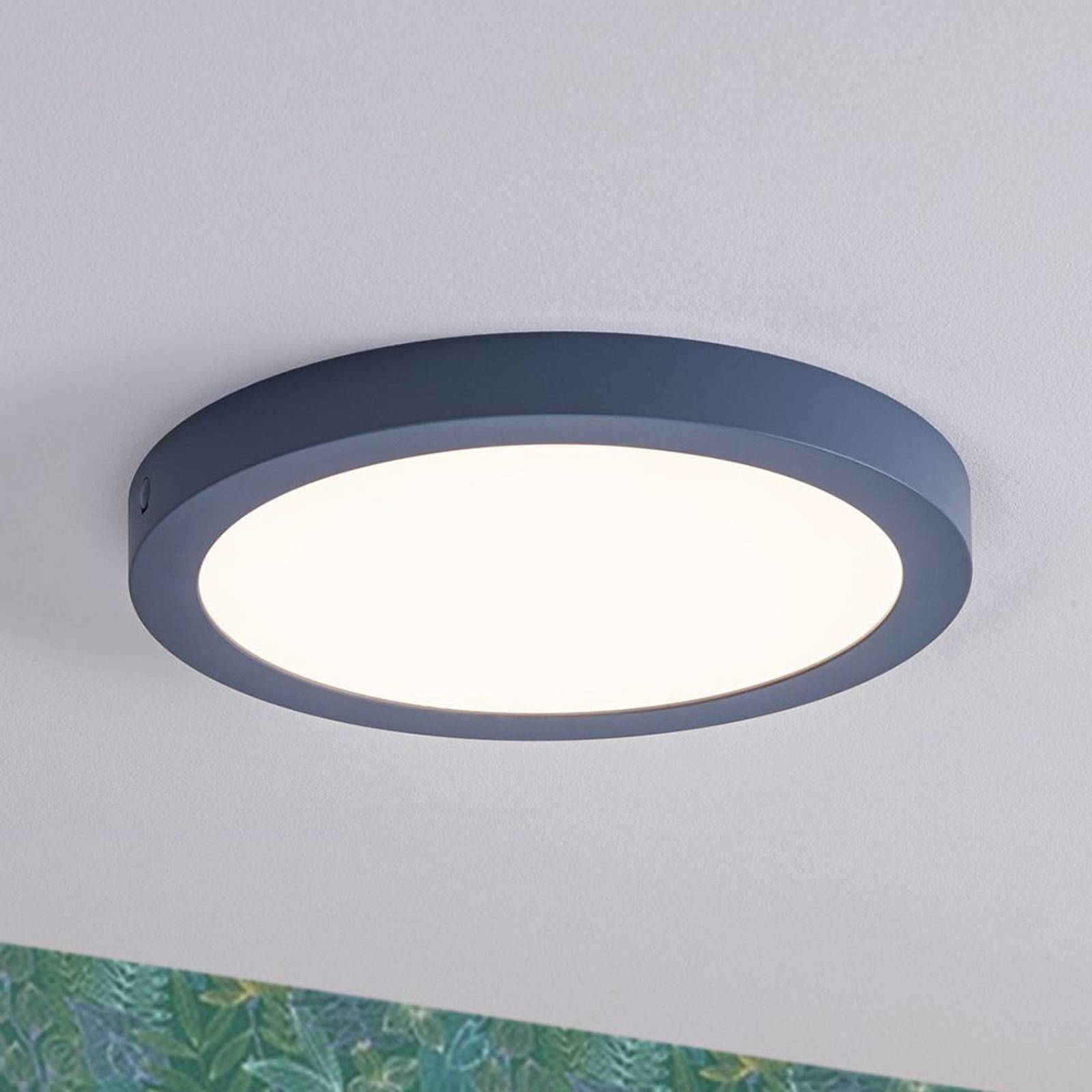 Paulmann LED-panel Abia, rund Ø 30 cm, gråblå