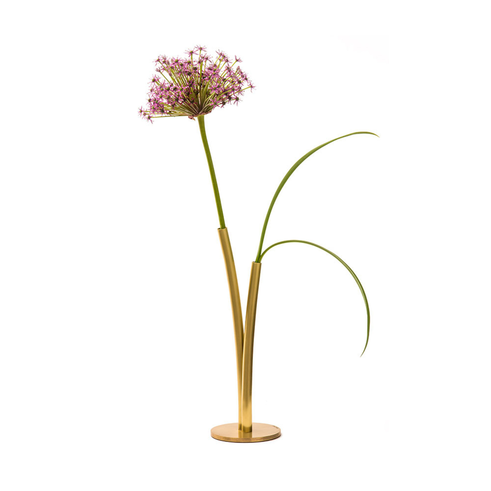 Vas Skott, 26 cm, LIT