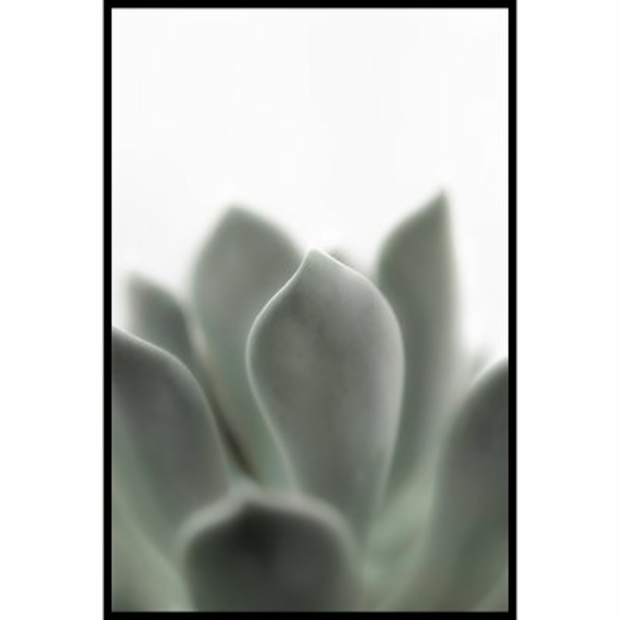 Green Poster