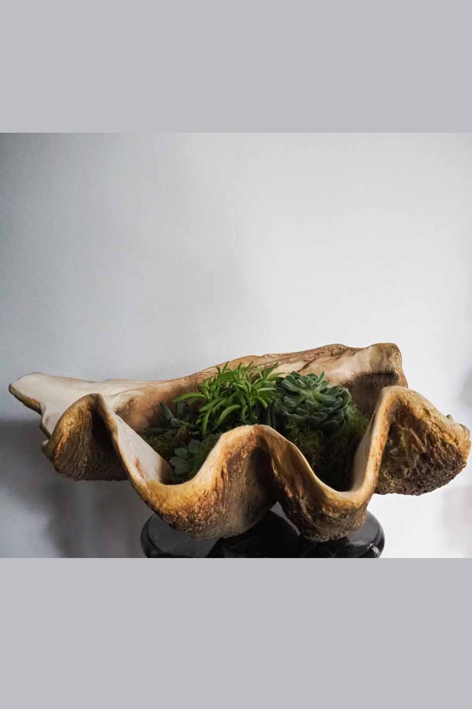 Dekoration Fat Laguna Faux Clam