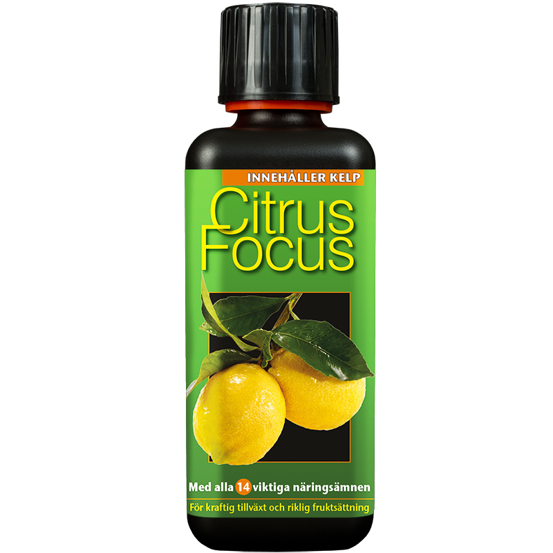 Citrusnäring, Citrus Focus, 300ml
