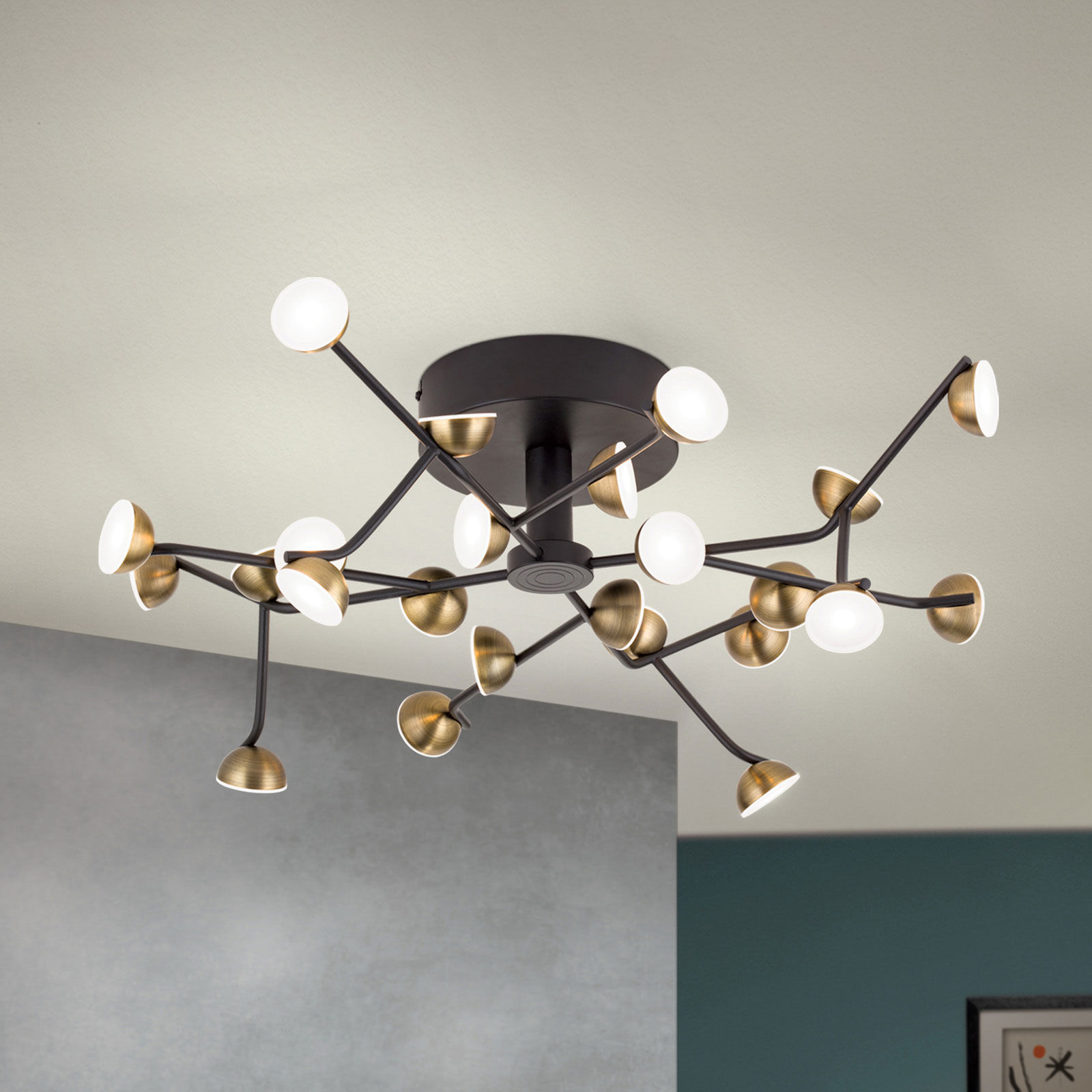 LED-taklampa Blossom, 24 lampor