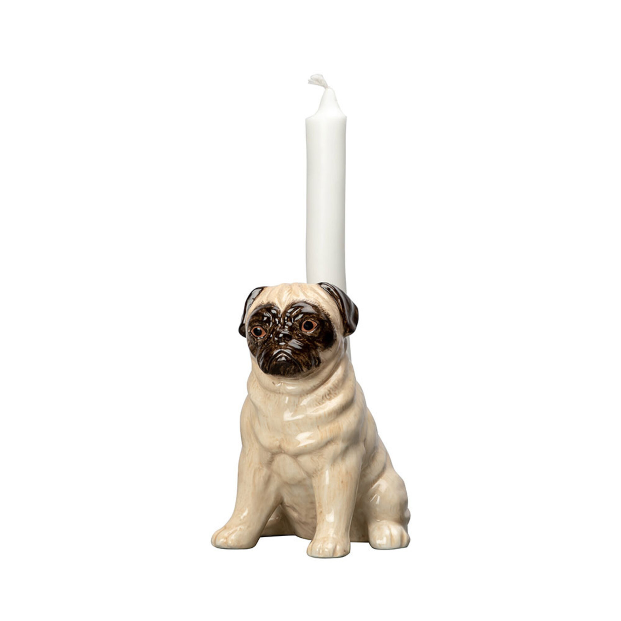 Candle holder Pug , L:13xW:9xH:14,5cm