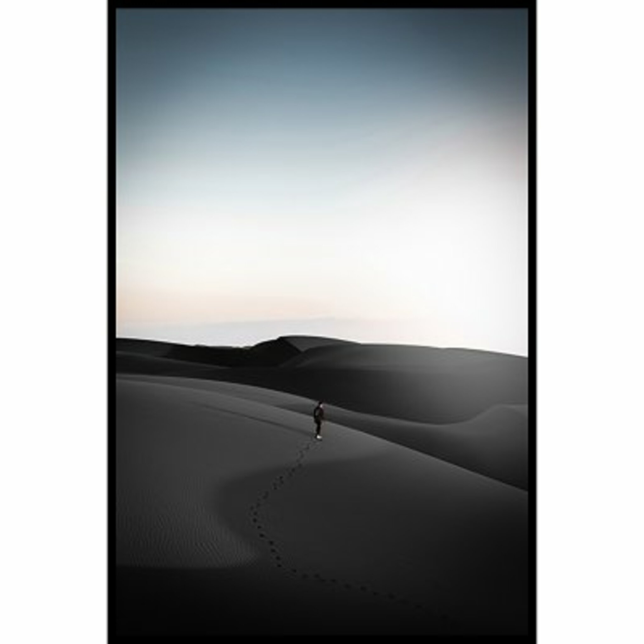 Black Desert Poster