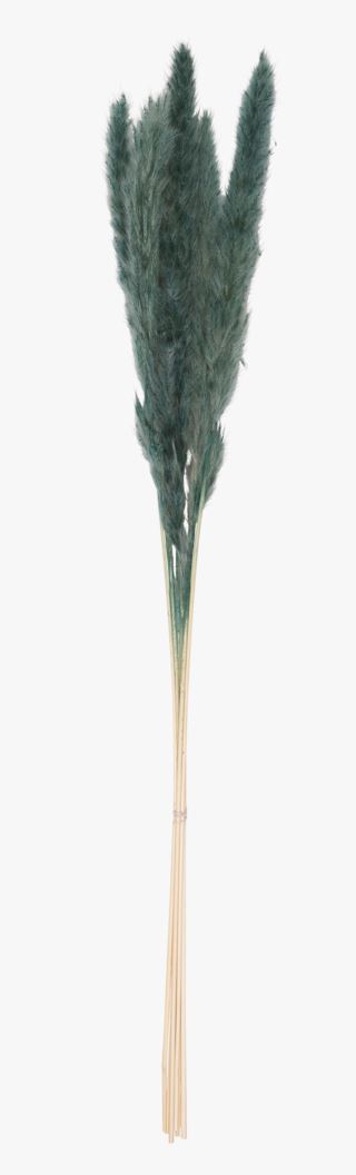 Pampas small halm grön