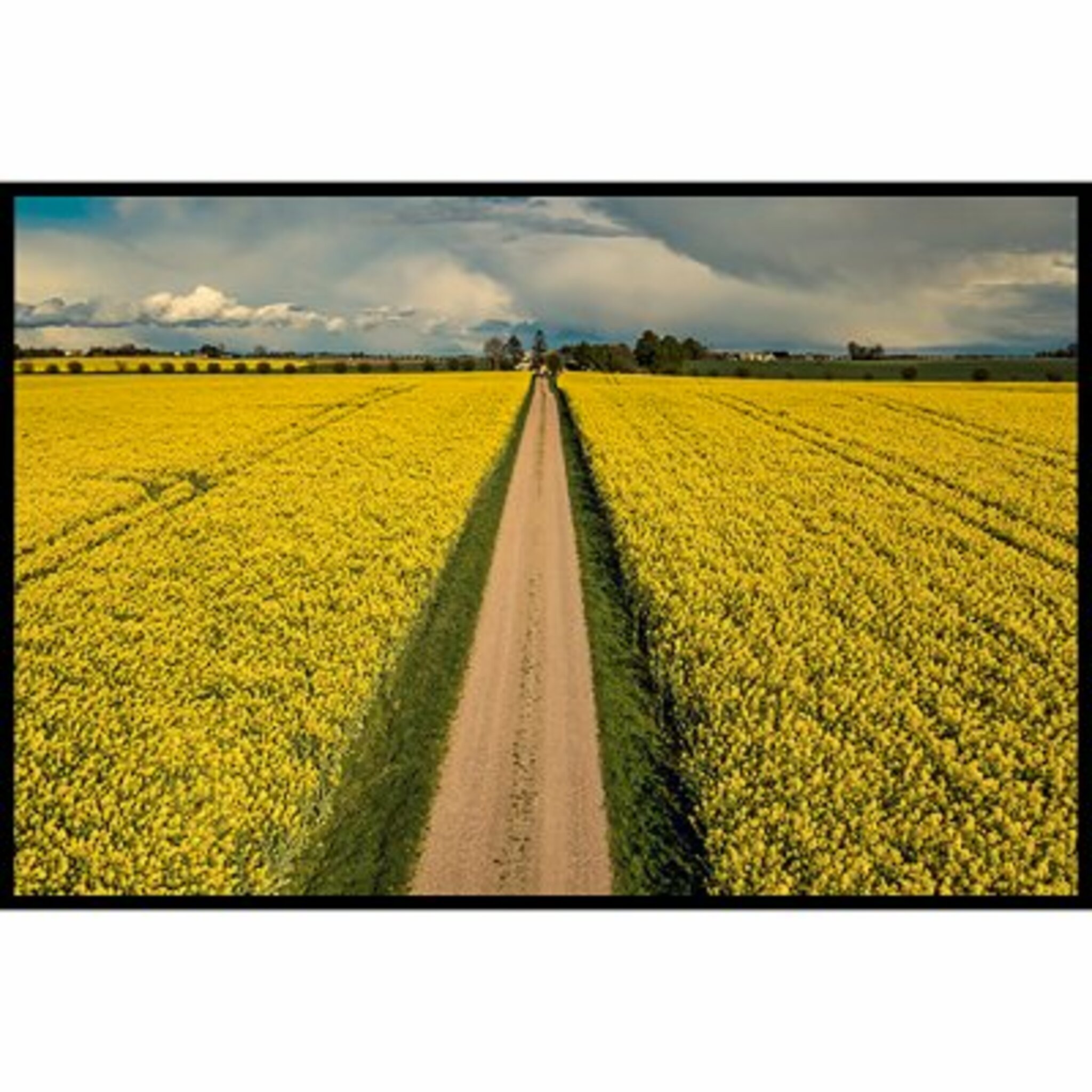 Yellow Road Poster