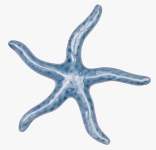 Seastar dekoration blå