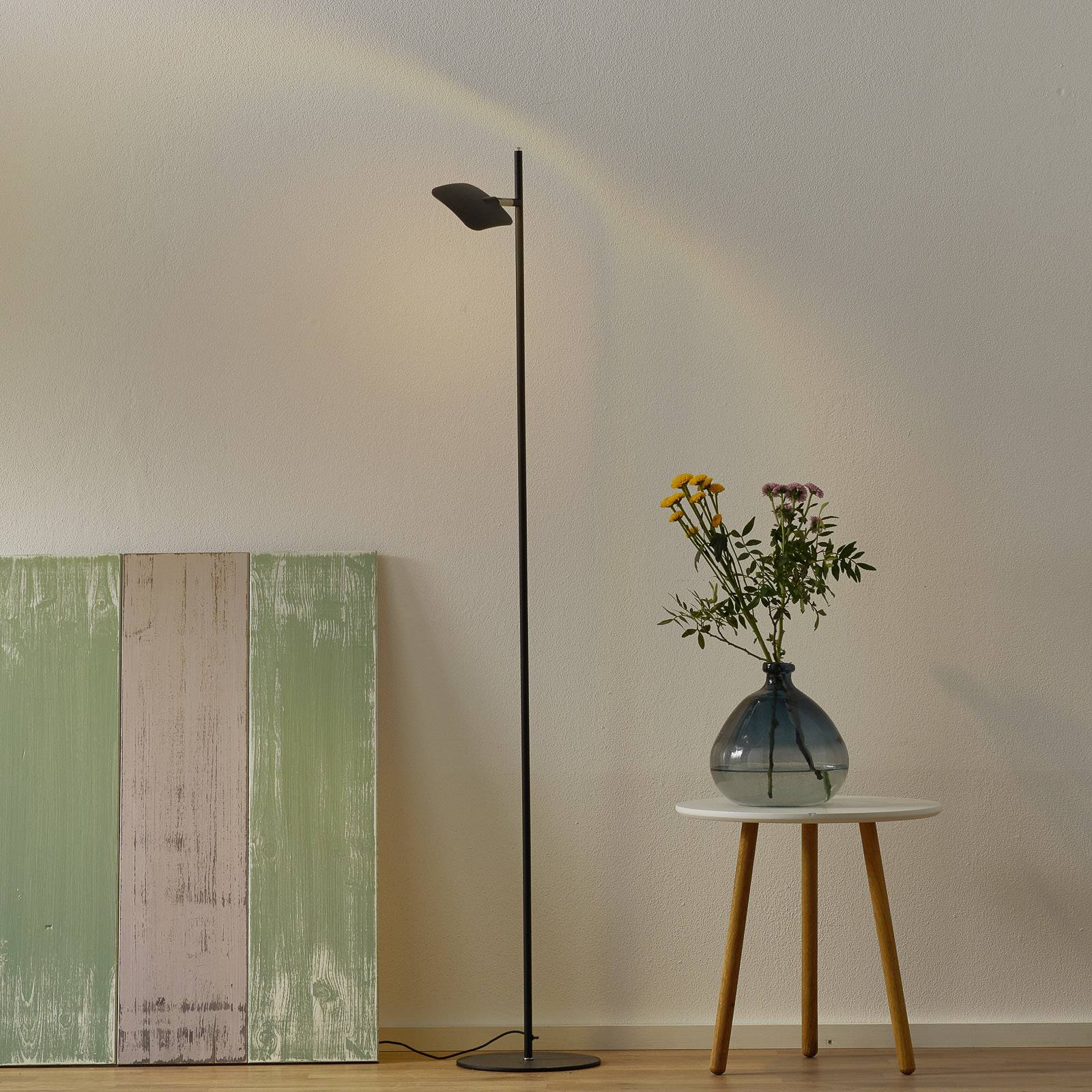 LED-golvlampa Raggio, 1 lampa, svart