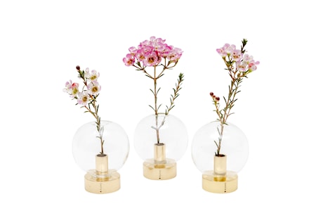 Orbis Minivas 3-Pack