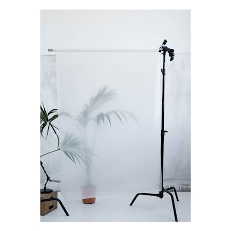 Botanic Poster Palm l