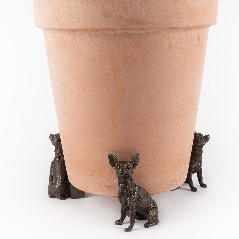 Krukfötter Chihuahua, brons