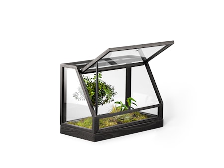 Växthus Mini Svart