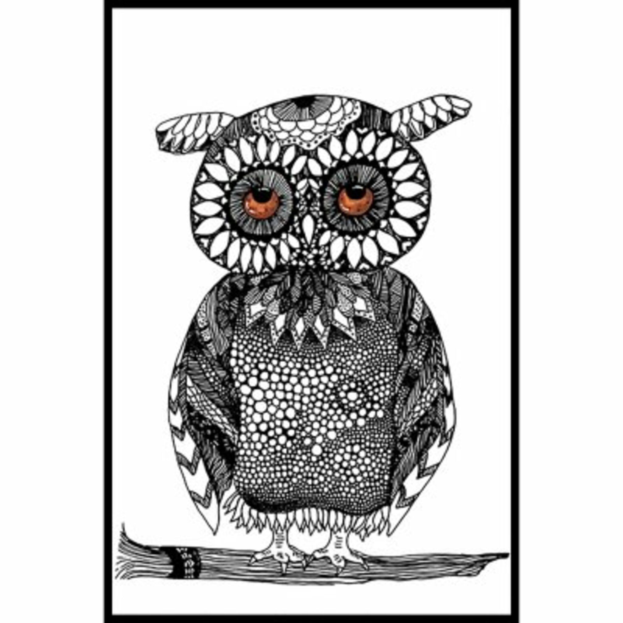 Owl On Branch Poster