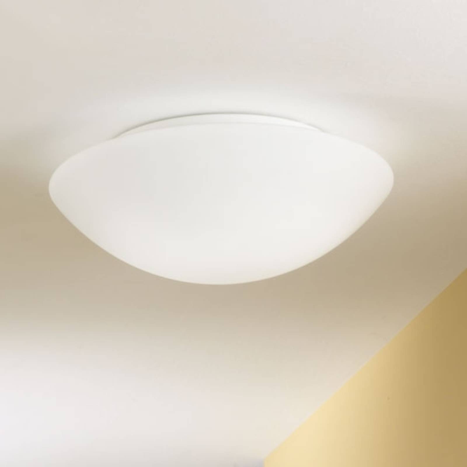 Plafond- och vägglampa PANDORA 36 cm