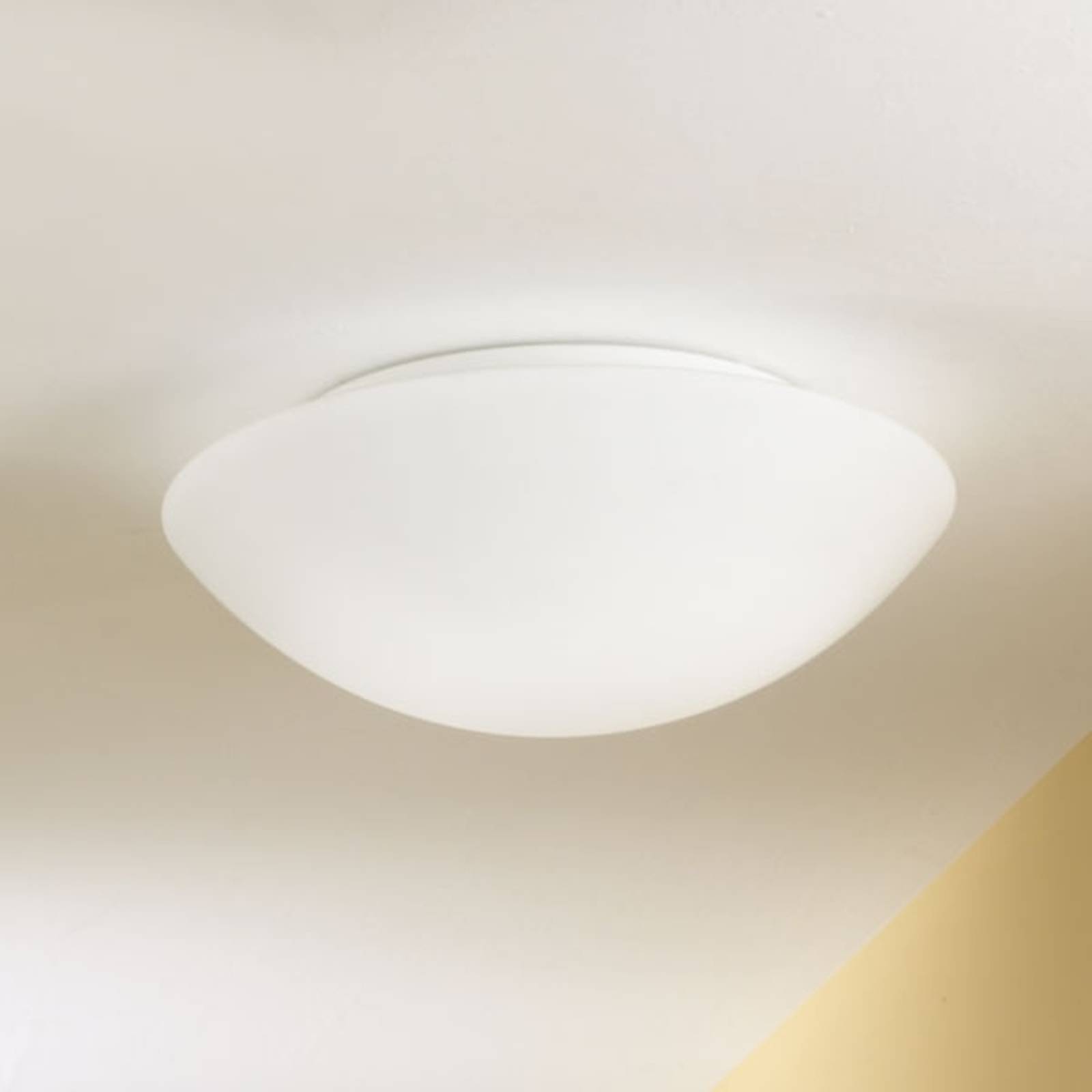 Plafond- och vägglampa PANDORA 20 cm