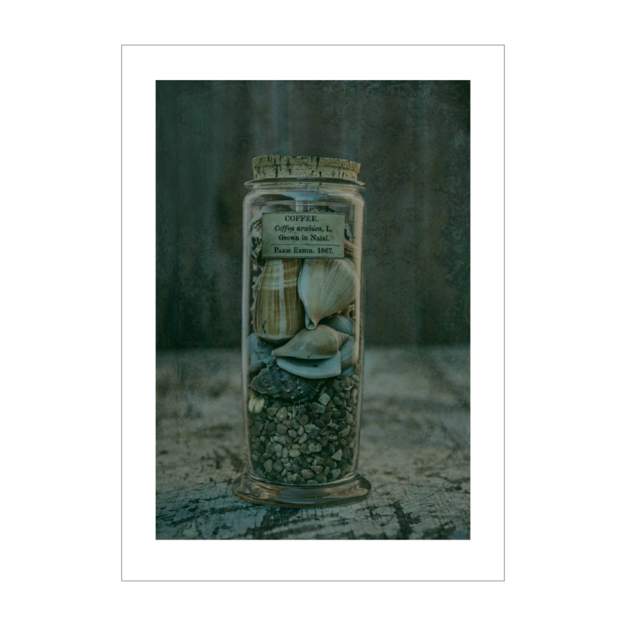 A Glass Jar from Natal