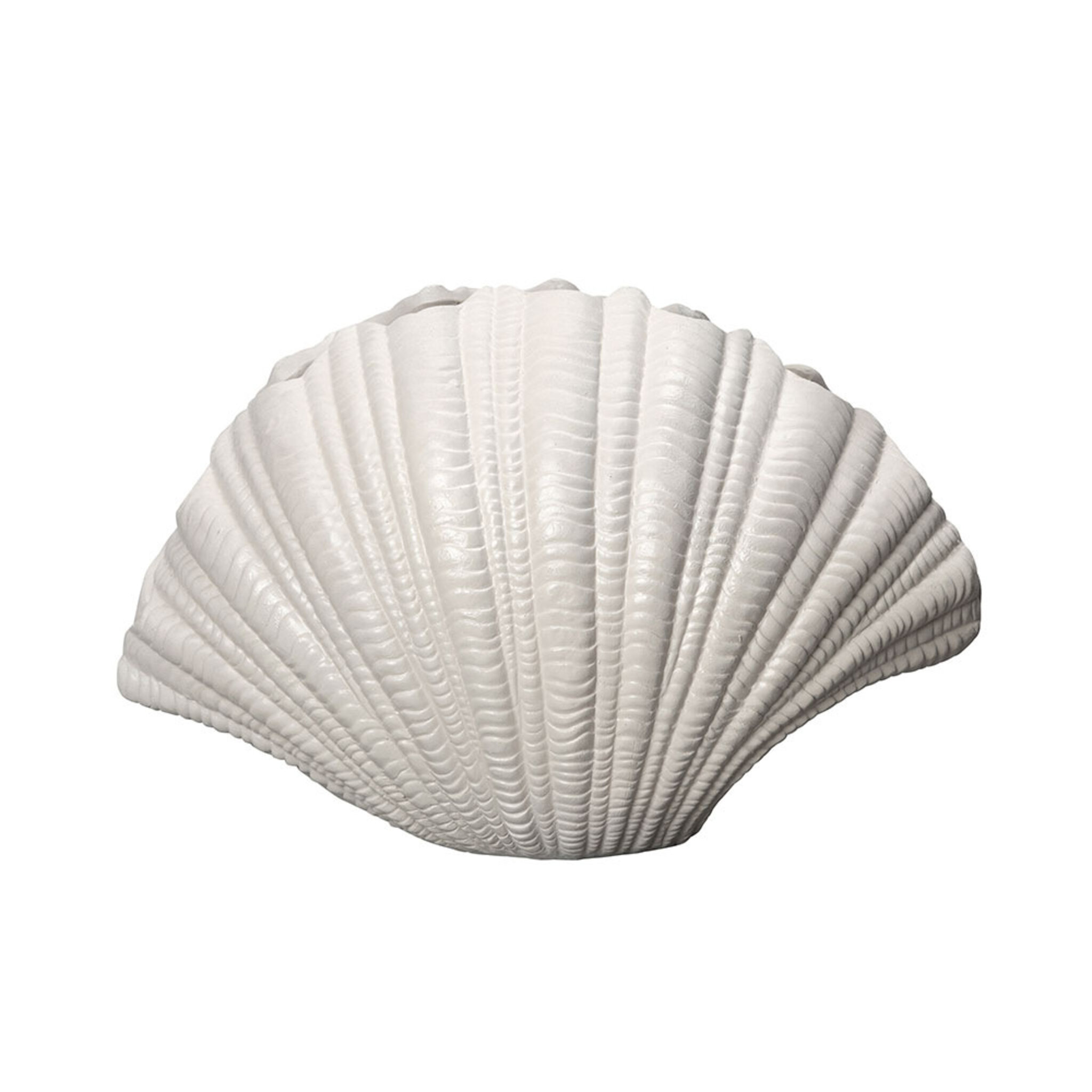 Vase Shell , L:31xW:19xH:21cm