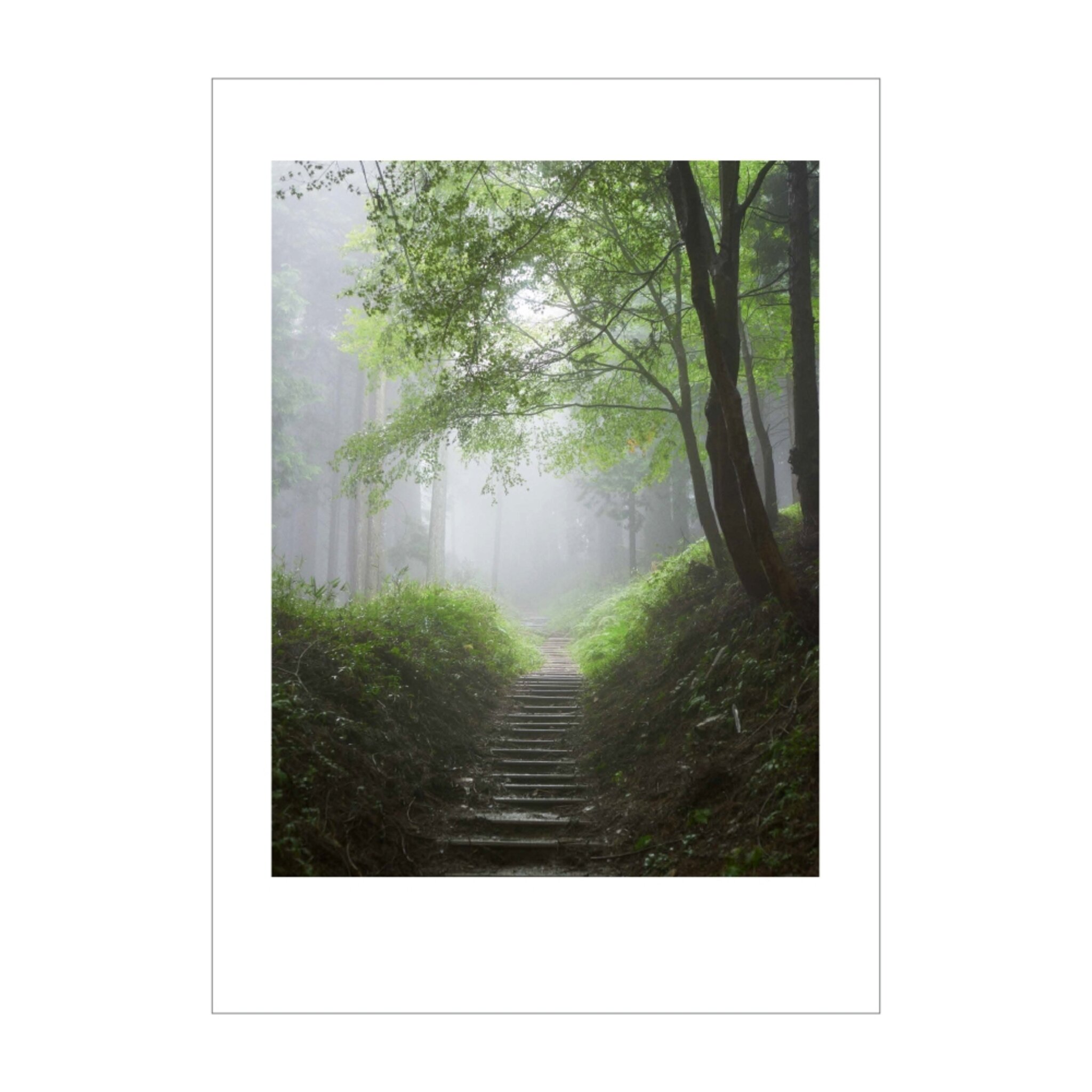 The Walk #2