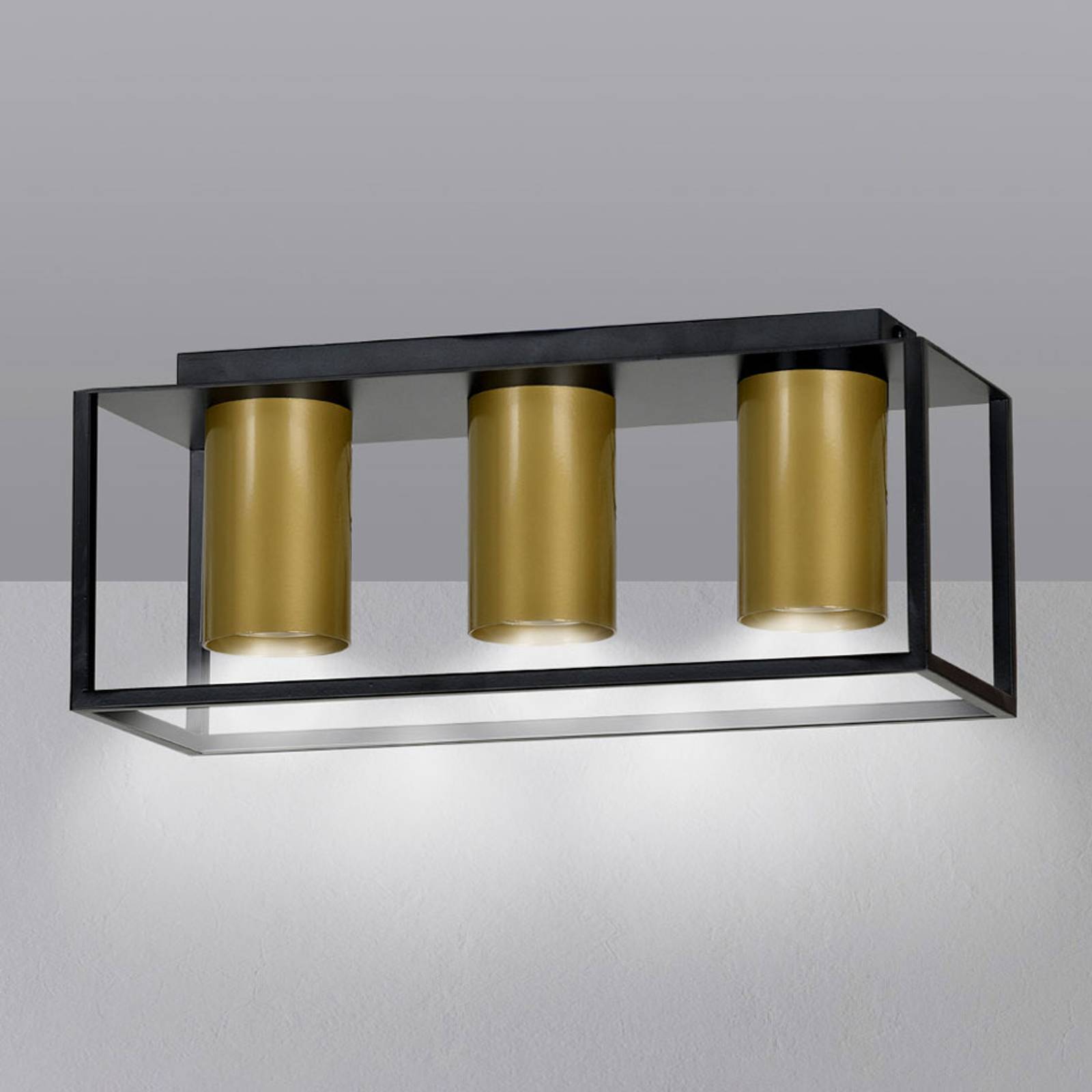 Takspotlight Tiper med ram, 3 lampor, svart guld