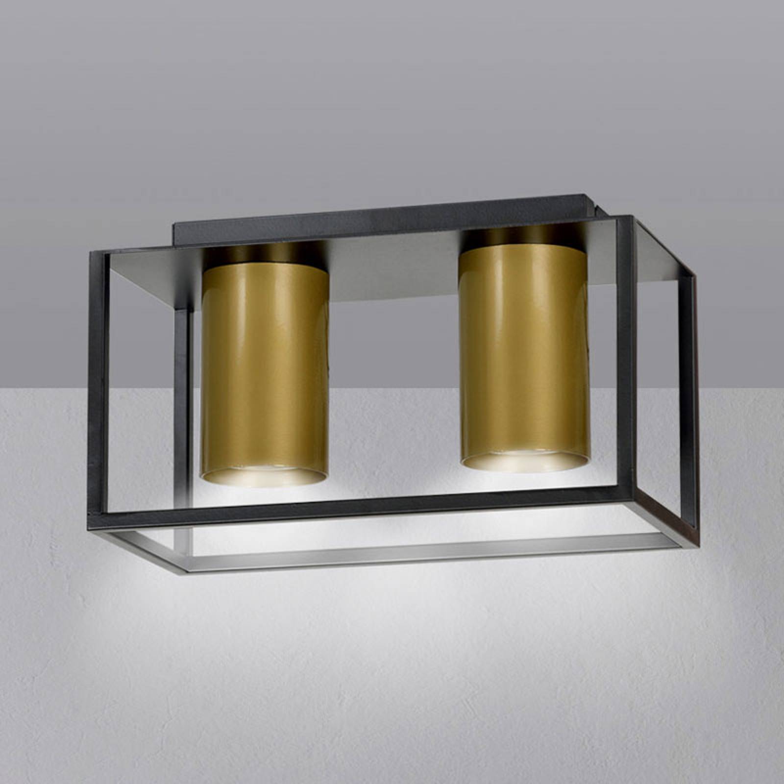 Takspotlight Tiper med ram, 2 lampor, svart guld