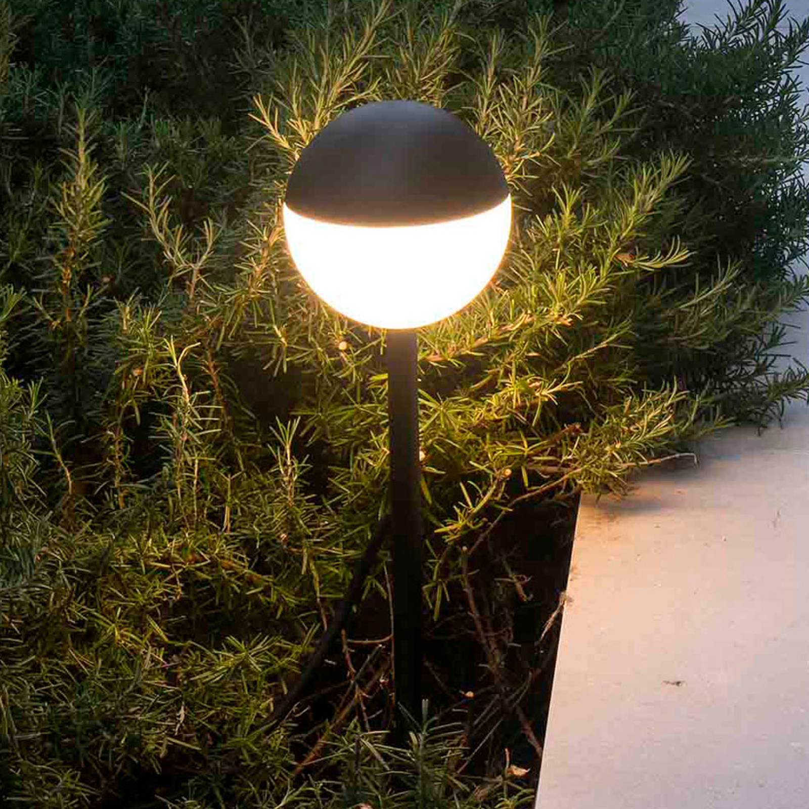 LED-gånglampa Piccola med markspett i svart