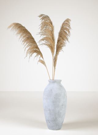 Phaedra kruka offwhite