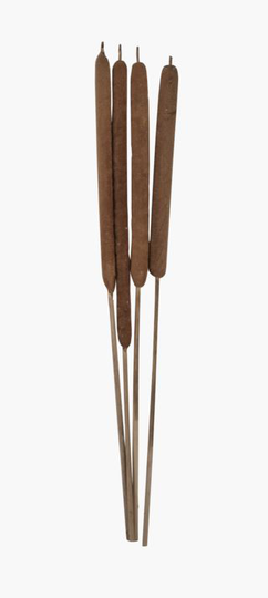 Cattail bukett natur