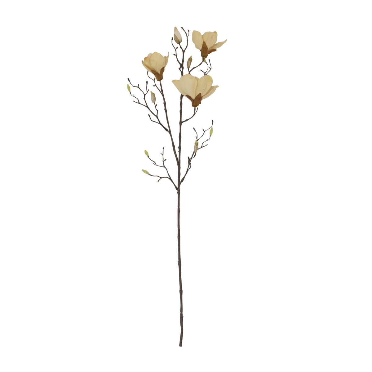 Konstväxt Magnolia 85 cm naturvit House Doctor
