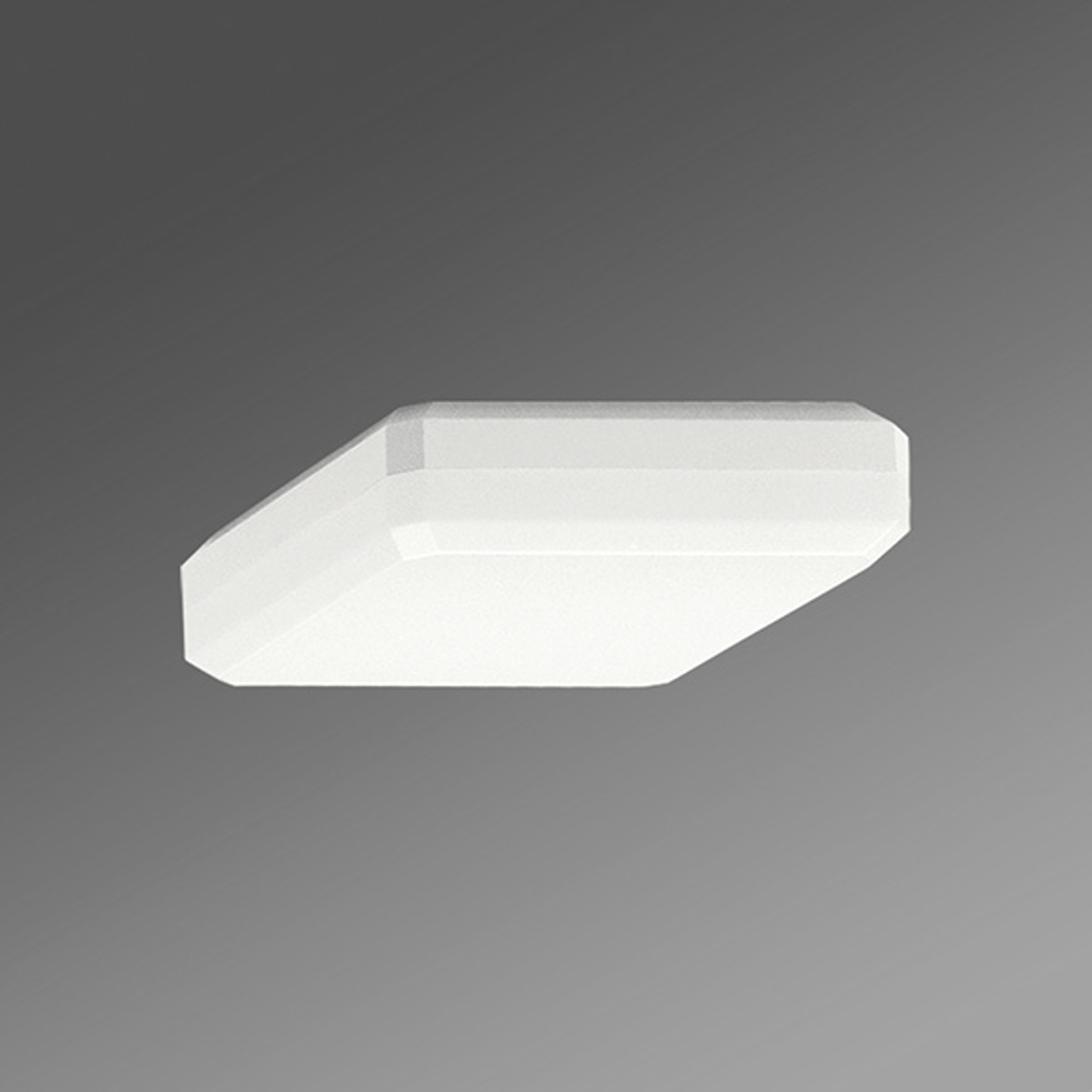 Takpåbyggnadslampa WQL diffusor opal varmvit