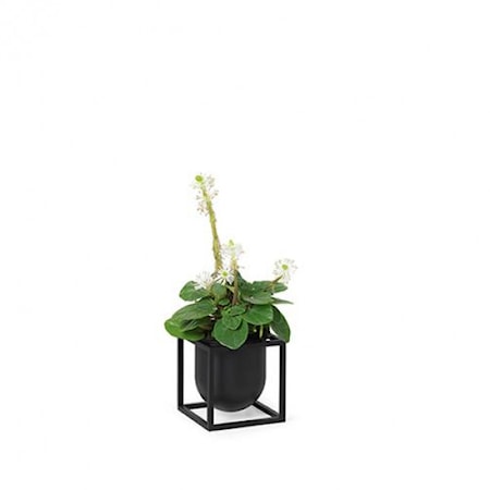 Kubus Blomkruka 10 Svart