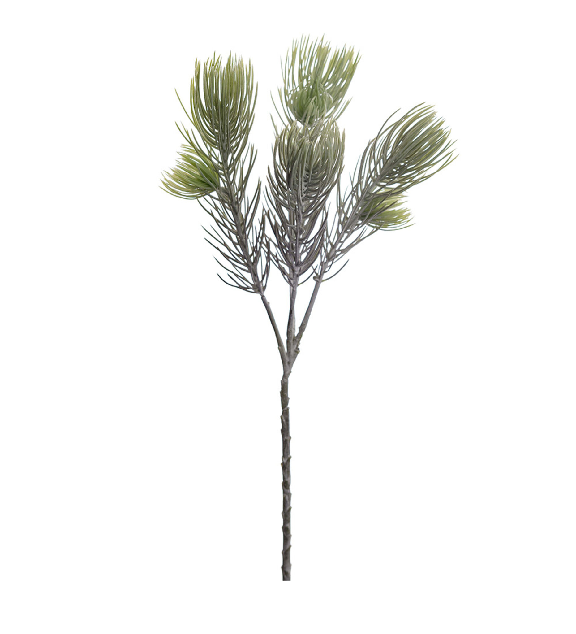 Barrkvist 55 cm, 55