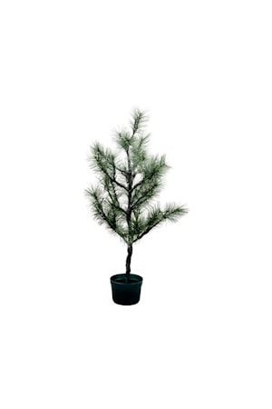 Julgran LED lights Natur 75 cm