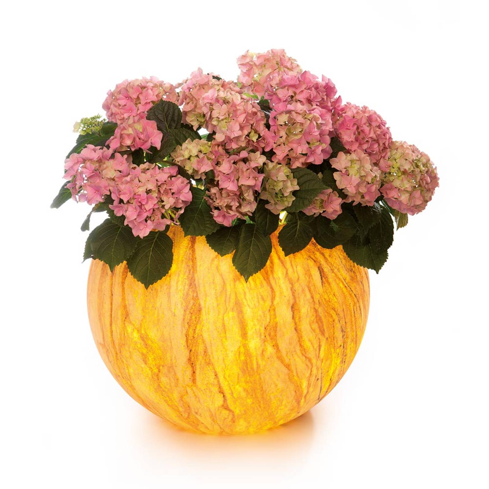 LED-blomkruka Flora Sahara med fjärrkontroll