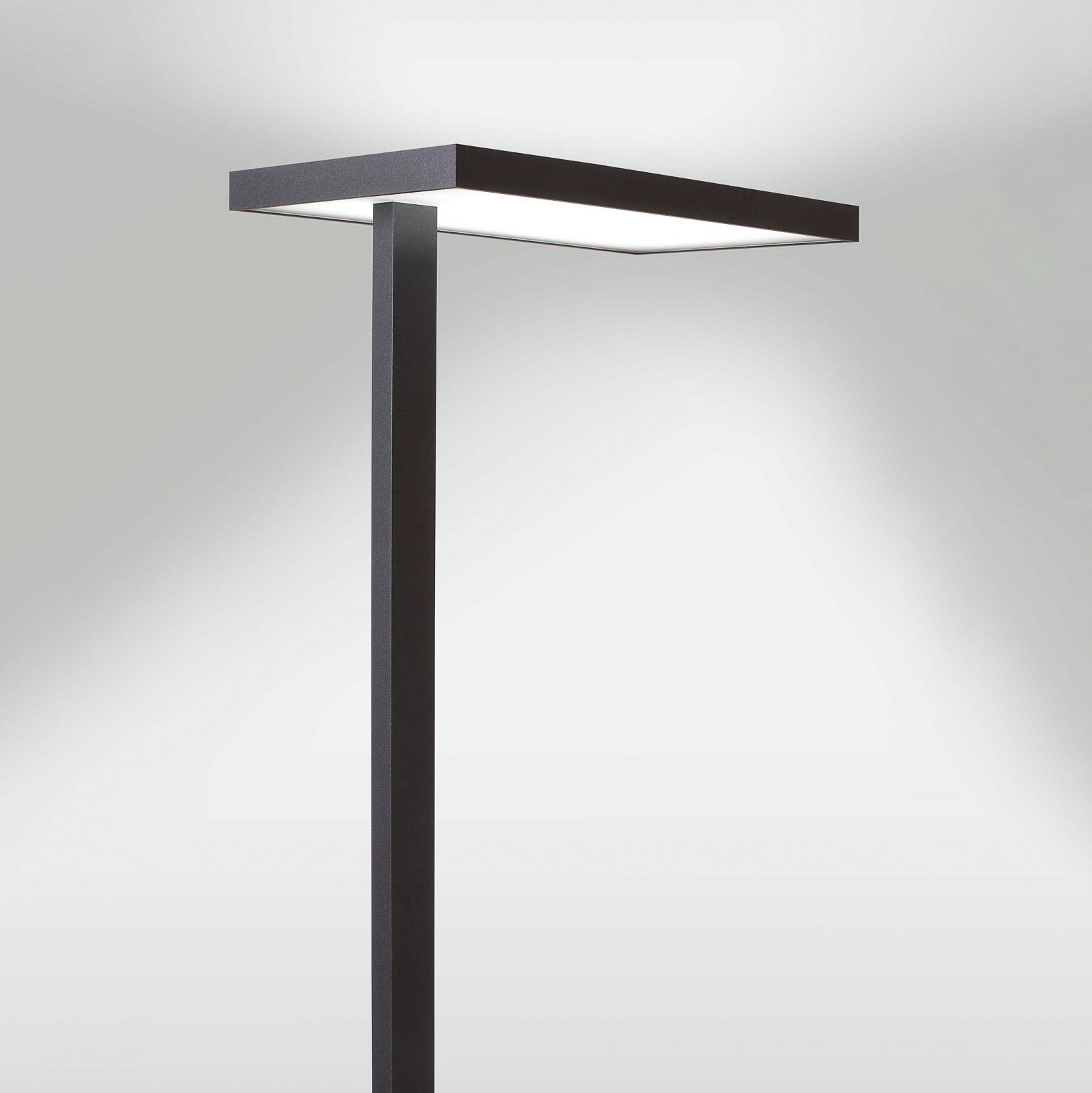 LED-kontorsgolvlampa Lola, 3 000 K, DALI