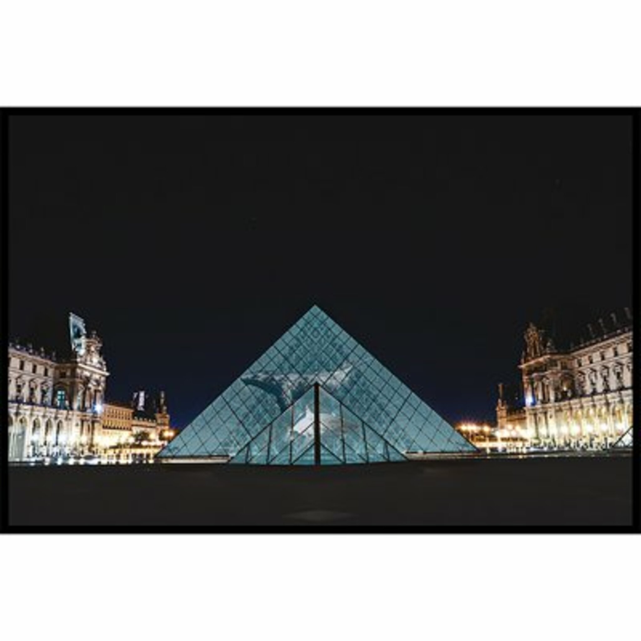 Louvre The Aquarium Poster