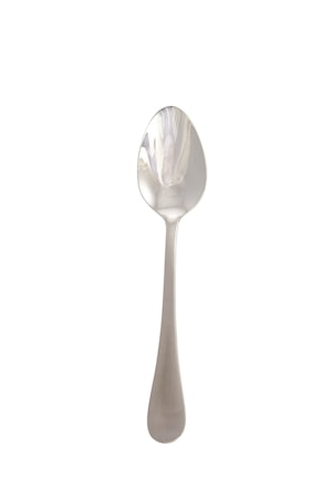 Brush Sked 20,4 cm Rostfritt stål