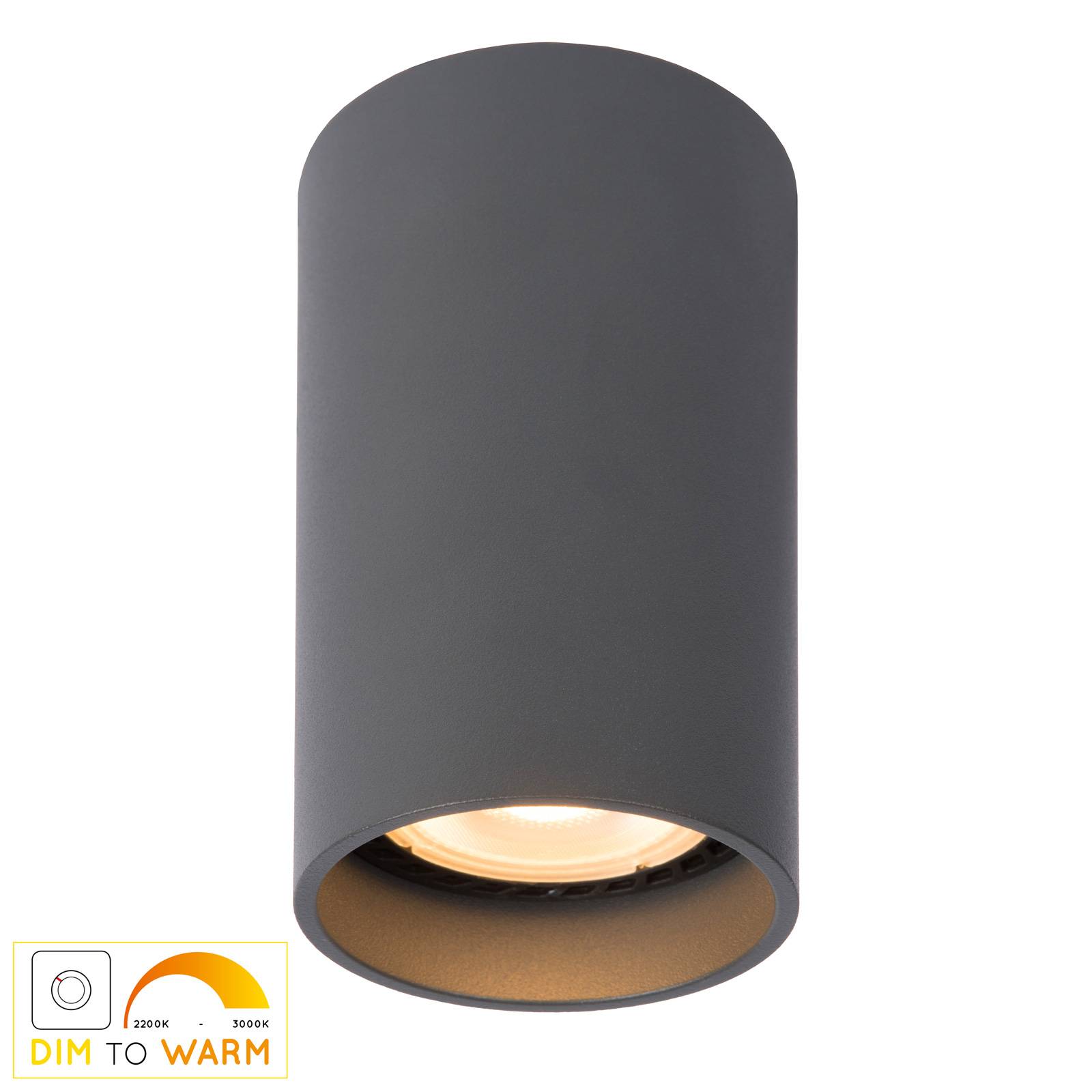 LED-taklampa Delto dim to warm, rund, grå