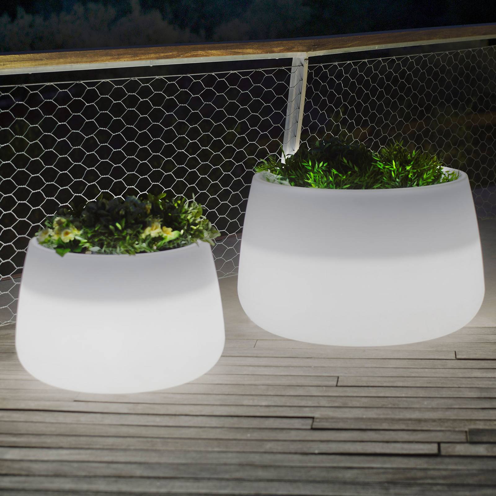 Newgarden Camelia 60 växtbalja LED solcell+batteri