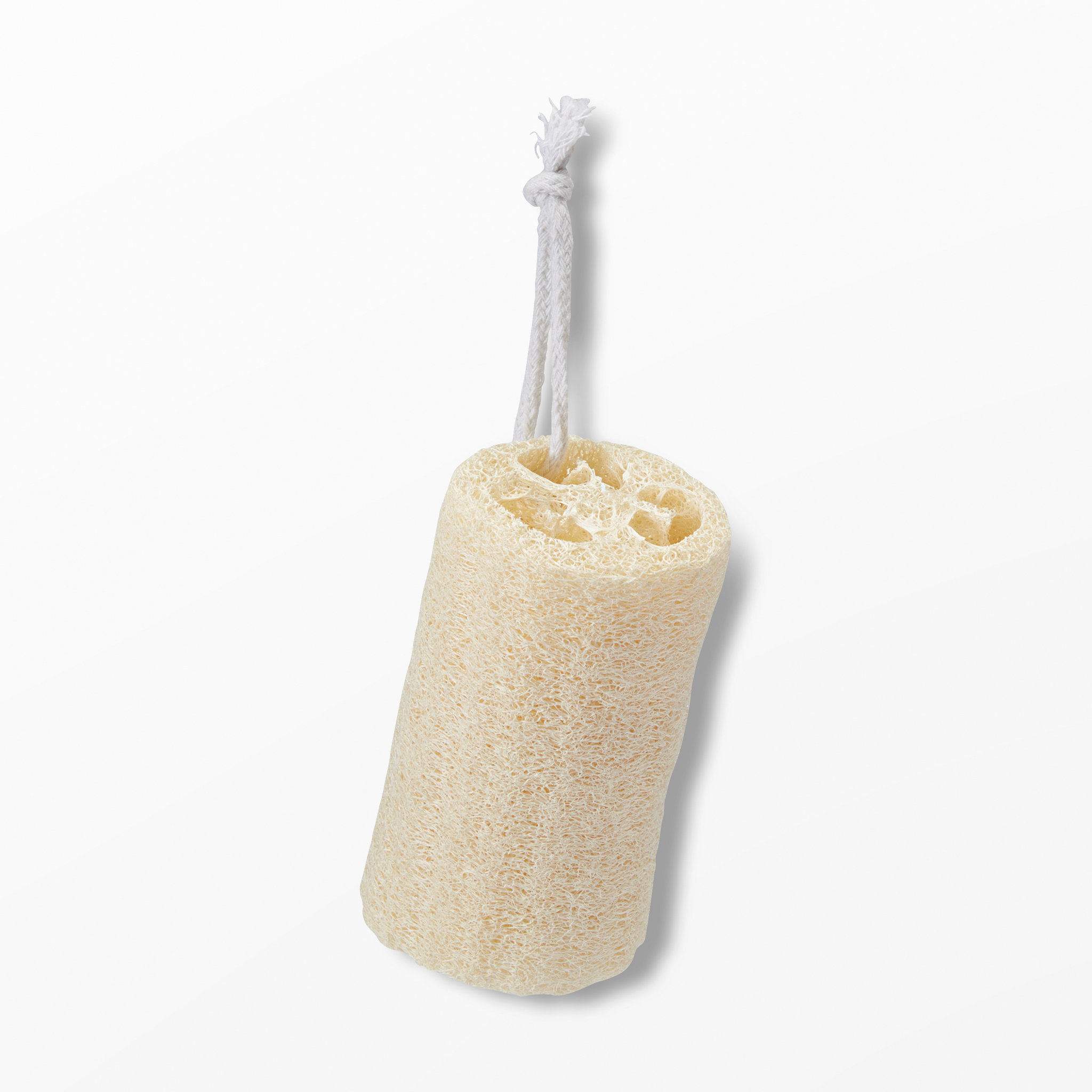 Loofa svamp