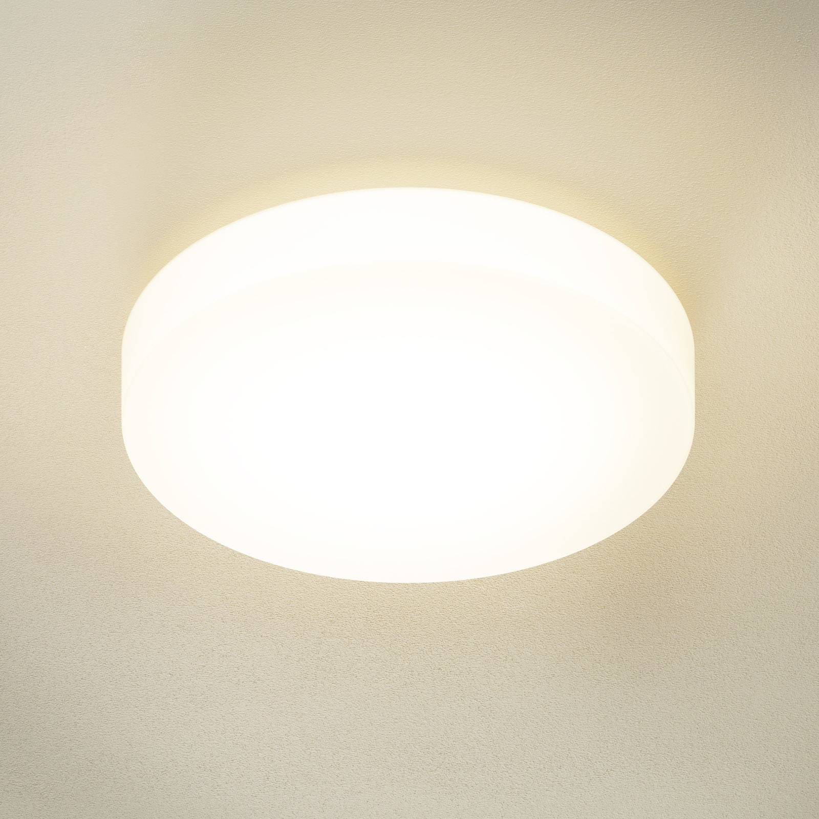 BEGA 23297 LED-taklampa glas DALI 3 000 K Ø 47 cm