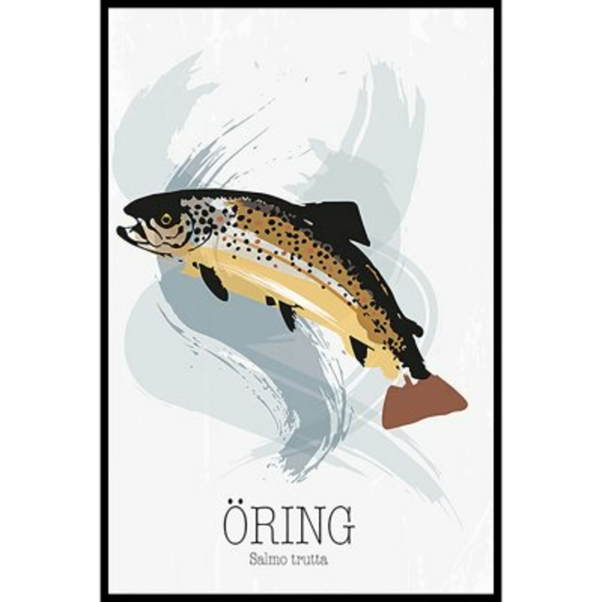 Öring Poster