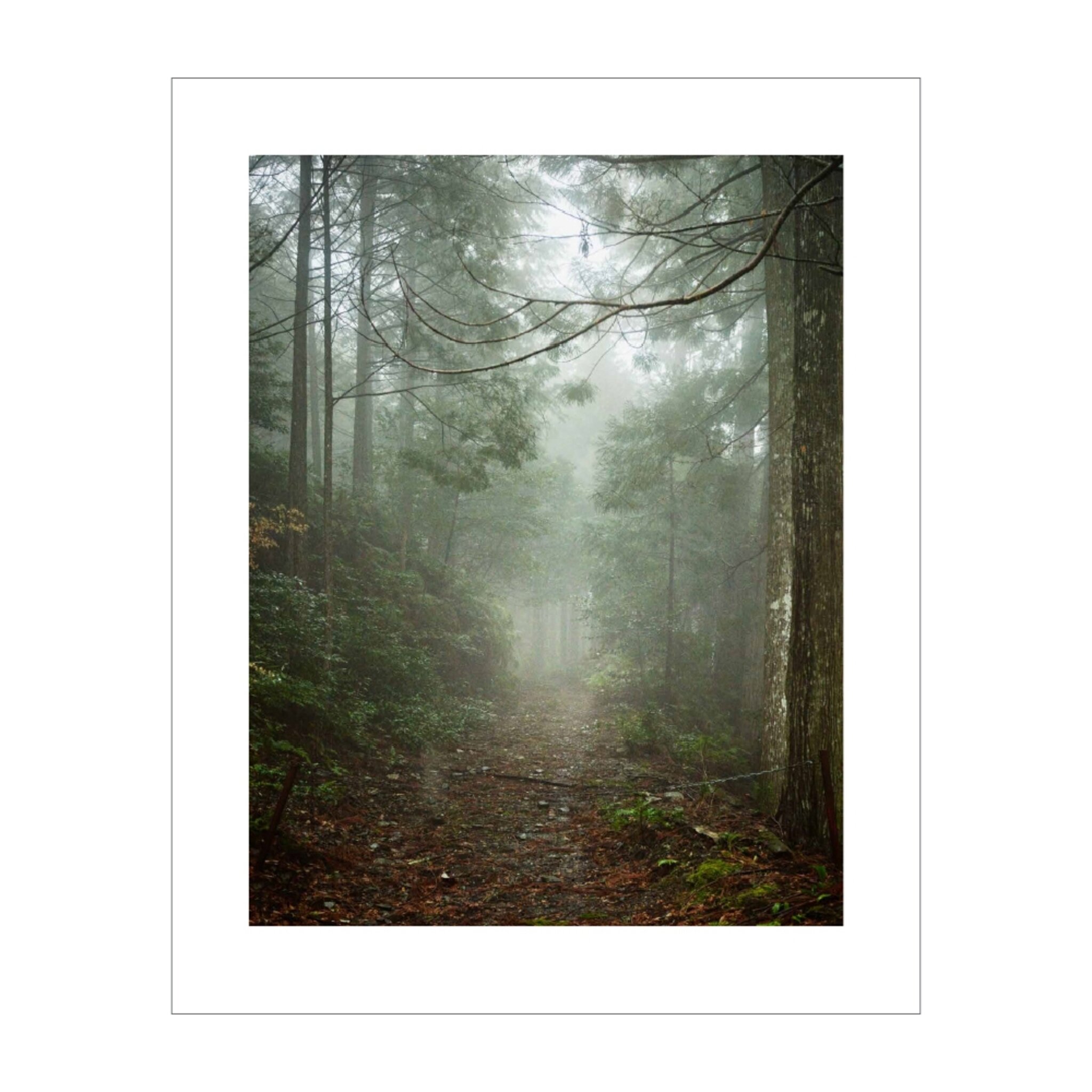 The Walk #5