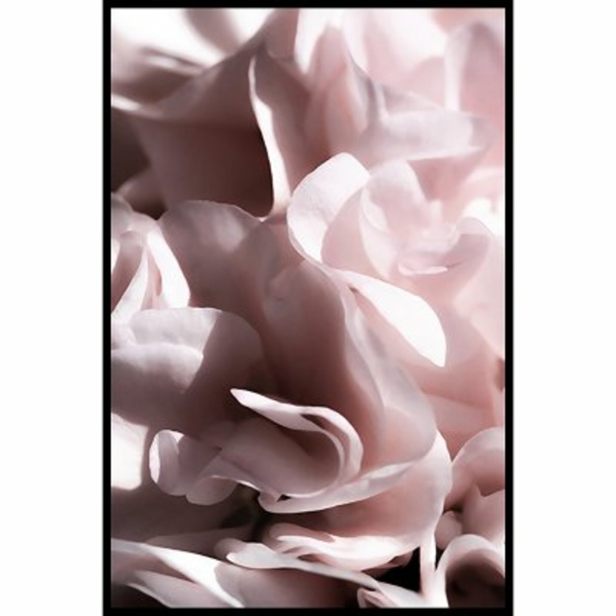 Bloom Poster
